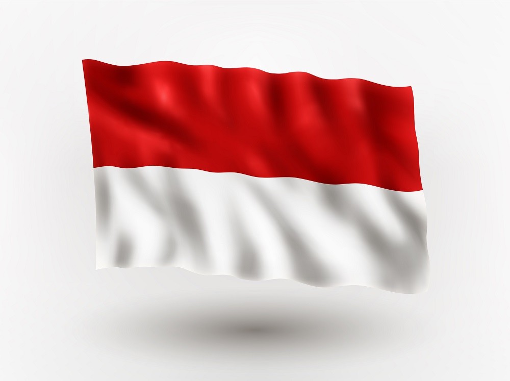 Implications of the New Regulation on the Mandatory Use of Indonesian Language to Businesses